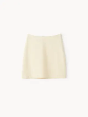 Fabiene Mini Skirt