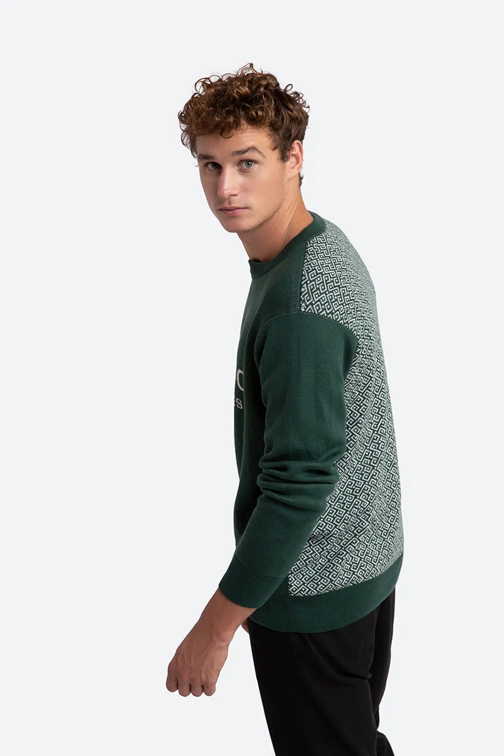 Ivo Cotton Knit Logo Back Sweater in Green and Off-White