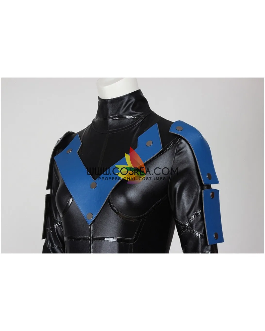 Nightwing Arkham City Female Cosplay Costume